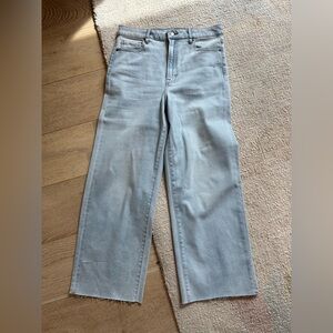 Vici Light Wash Straight Leg Jeans